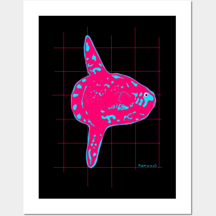 Pink Mola mola Posters and Art